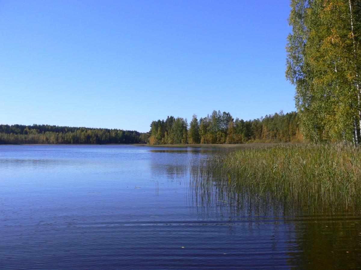 Vanha-Paelsilae Lakeside Farm Kuhmoinen Zewnętrze zdjęcie